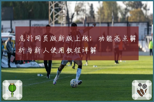 虎扑网页版新版上线：功能亮点解析与新人使用教程详解