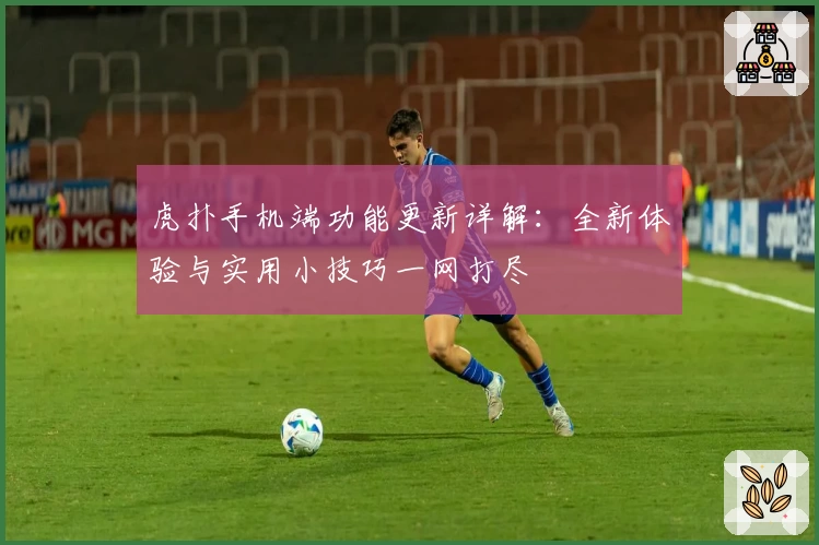 虎扑手机端功能更新详解：全新体验与实用小技巧一网打尽